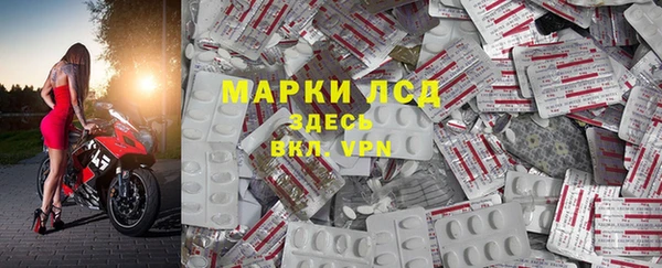 PSILOCYBIN Магас