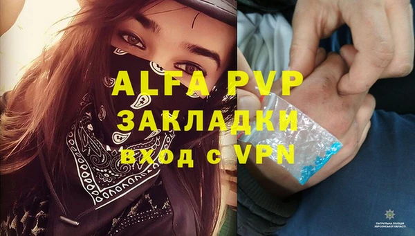 PSILOCYBIN Магас