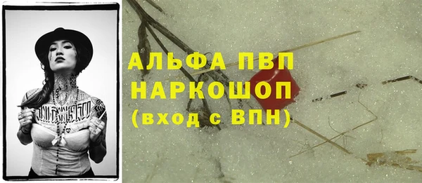 PSILOCYBIN Магас