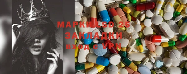 PSILOCYBIN Магас