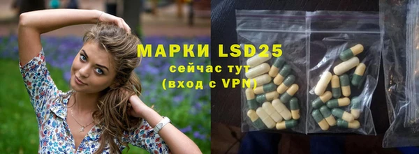 PSILOCYBIN Магас